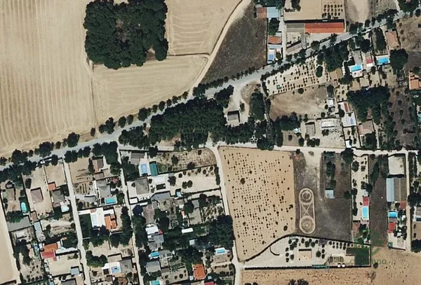 Spot image