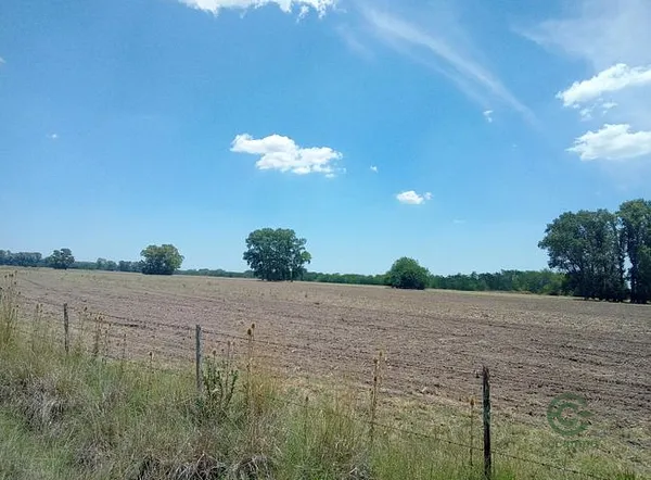 Finca agrícola de 100 ha en venta en Buenos aires