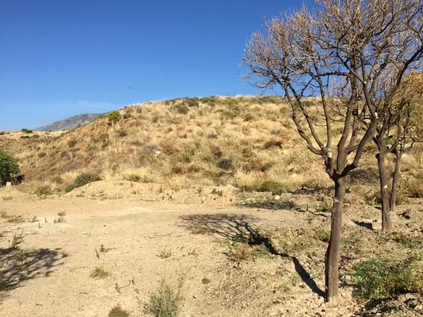 Spot image