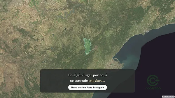 Spot image