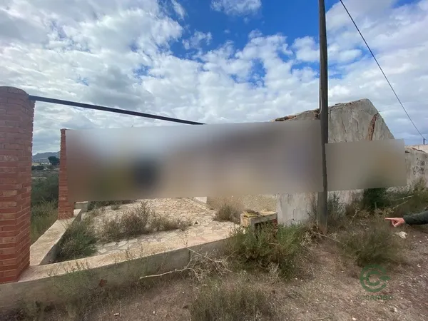 Spot image
