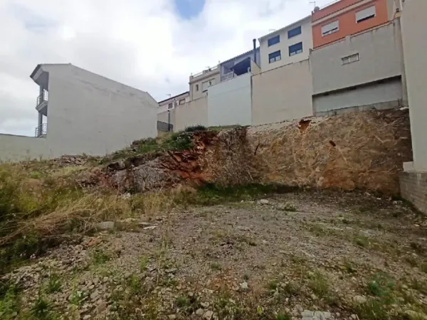 Spot image