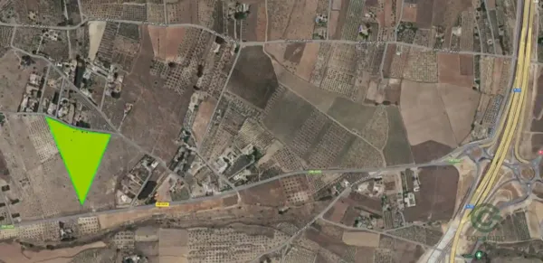 Spot image