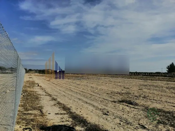 Spot image