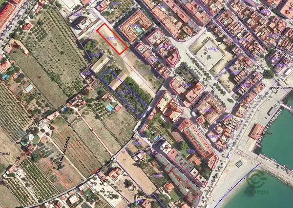 Spot image