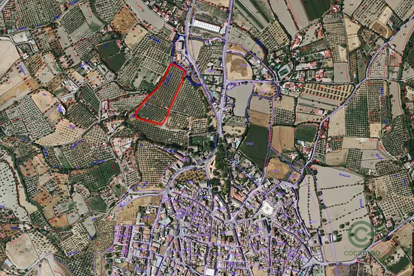 Spot image
