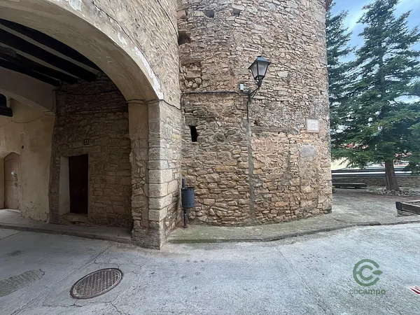 Spot image