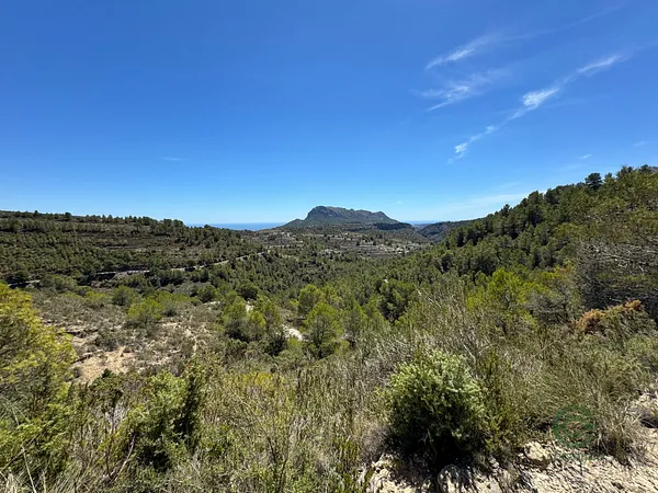 Spot image