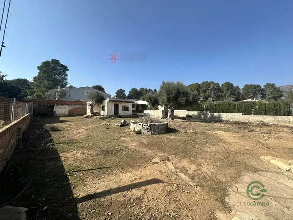 Spot image