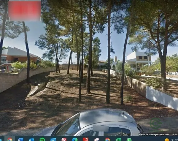 Spot image