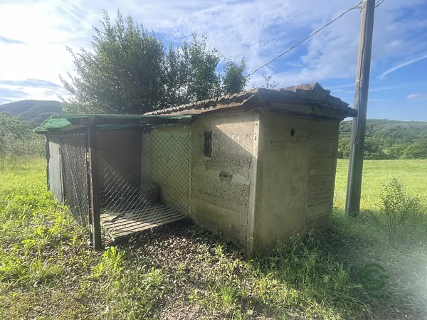 Spot image
