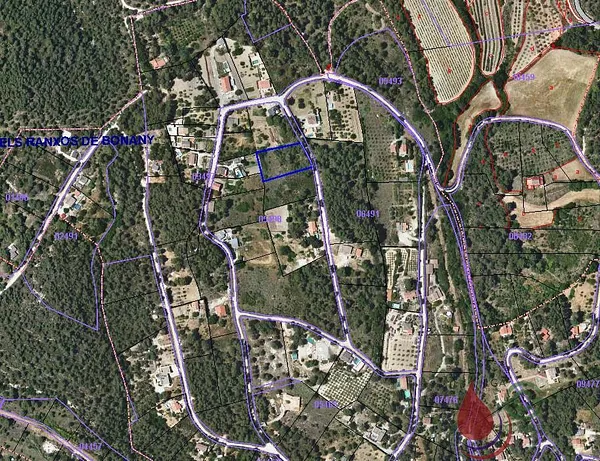 Spot image