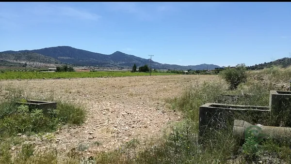 Finca rústica de 1 ha en venta en Alicante
