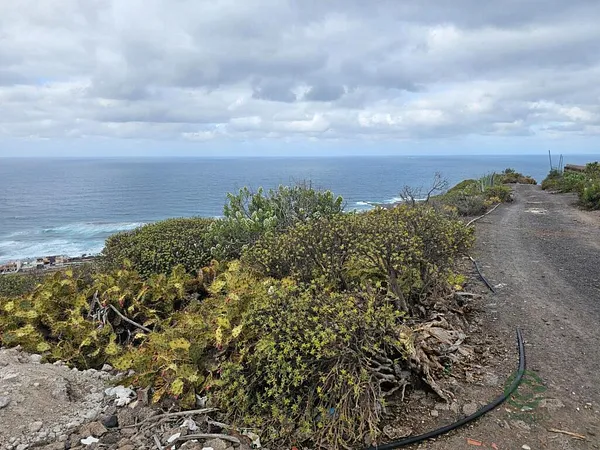Finca agrícola de 1,9308 ha en venta en Arucas, Las palmas