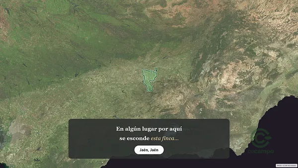 Spot image