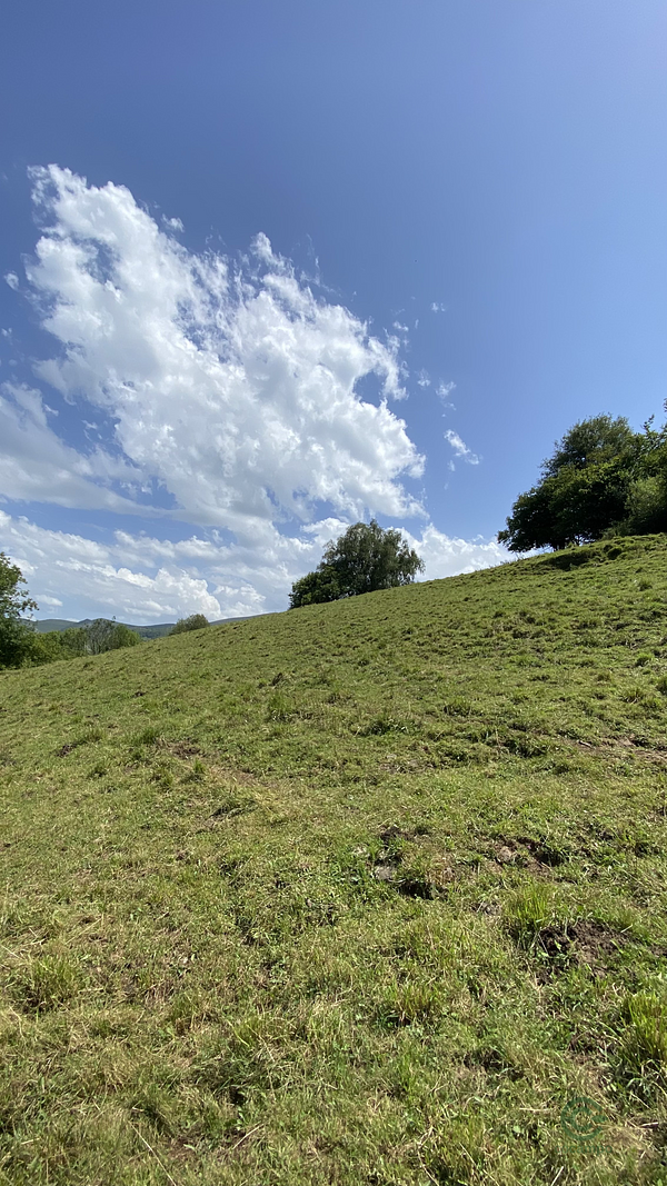 Finca rústica de 2 ha en venta en Asturias