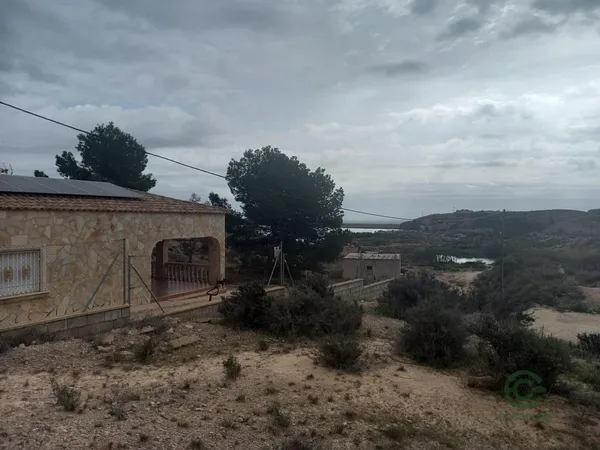Spot image