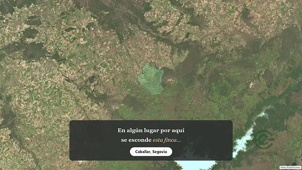 Spot image