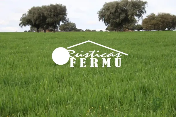 Finca rústica de 140 ha en venta en Córdoba