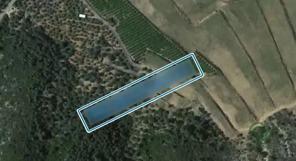 Spot image