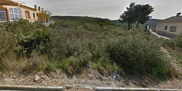 Spot image