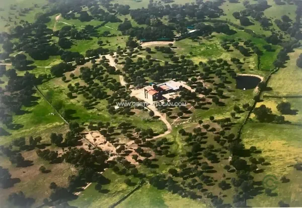 Finca rústica de 30 ha en venta en Parrillas, Toledo