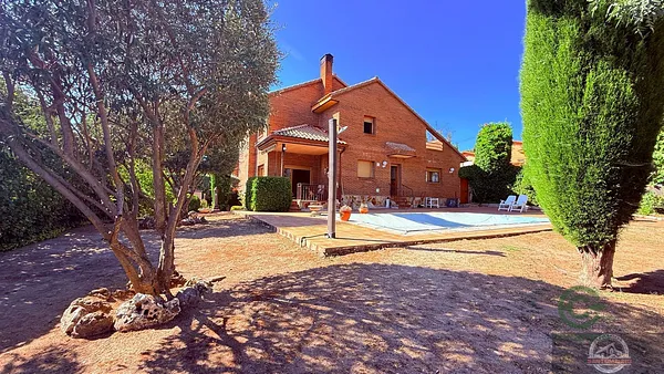 Spot image