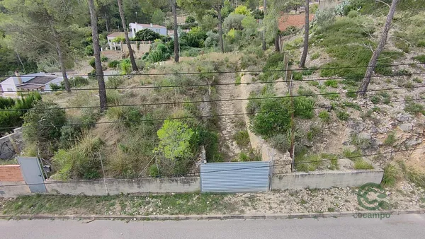 Spot image