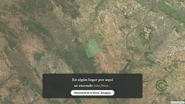 Spot image