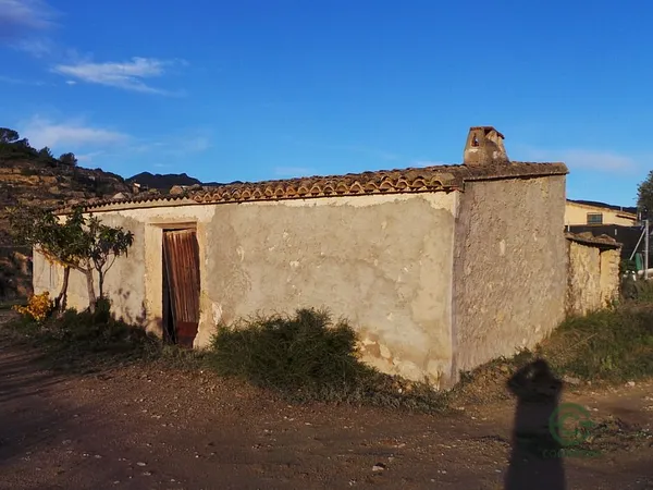 Spot image