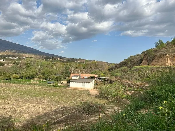 Spot image