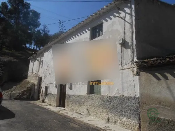 Spot image