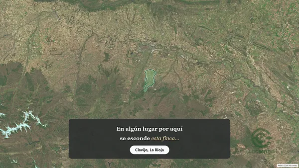 Spot image