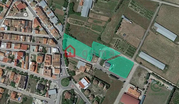 Spot image