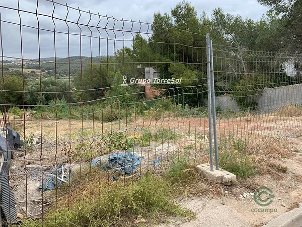 Spot image