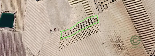 Spot image