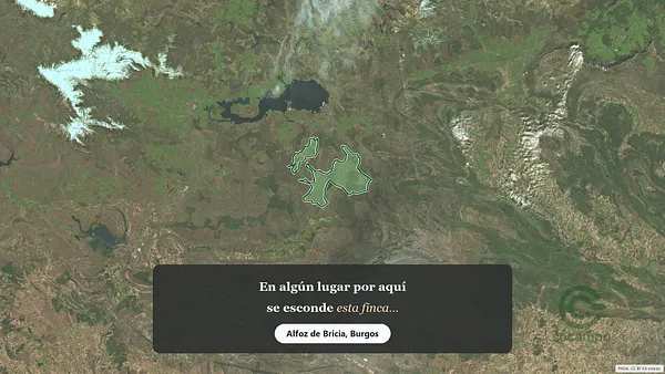 Spot image