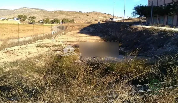 Spot image