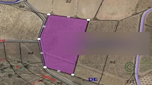 Spot image