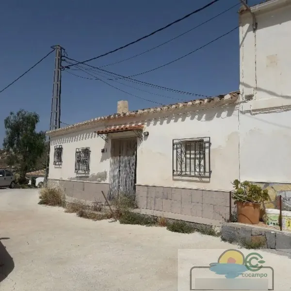 Spot image