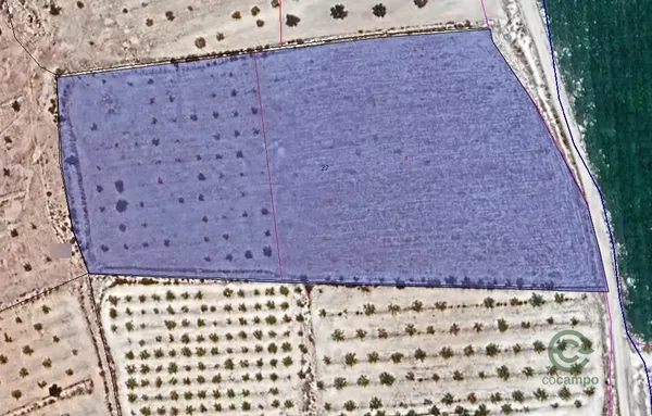 Spot image