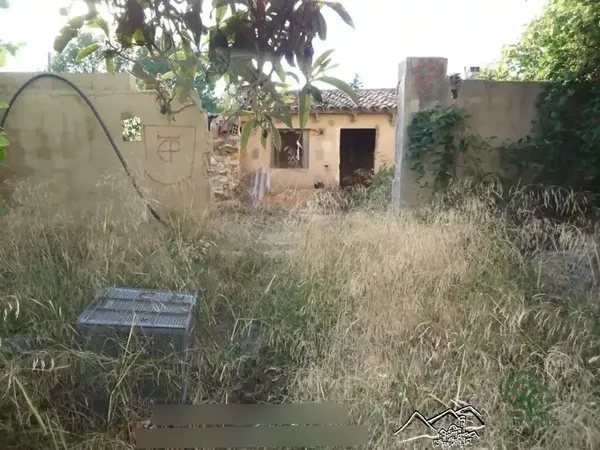 Spot image