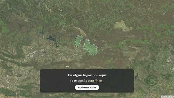 Spot image