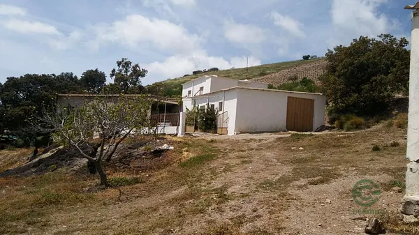 Spot image