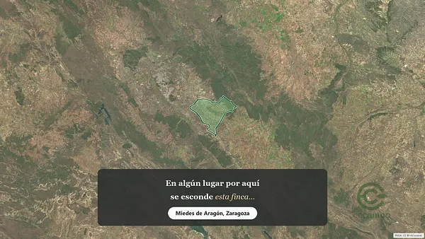 Spot image