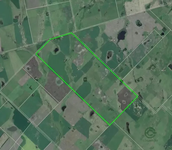 Finca rústica de 600 ha en venta en Buenos aires