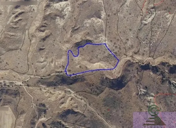 Spot image