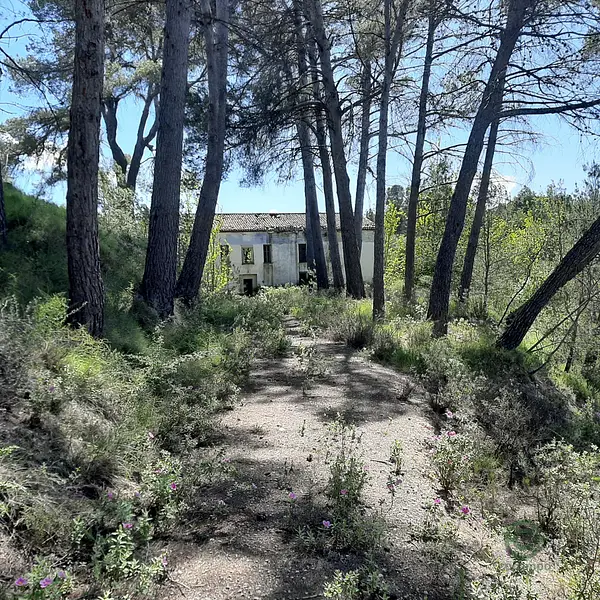 Finca rústica de 37,8378 ha en venta en Planes, Alicante