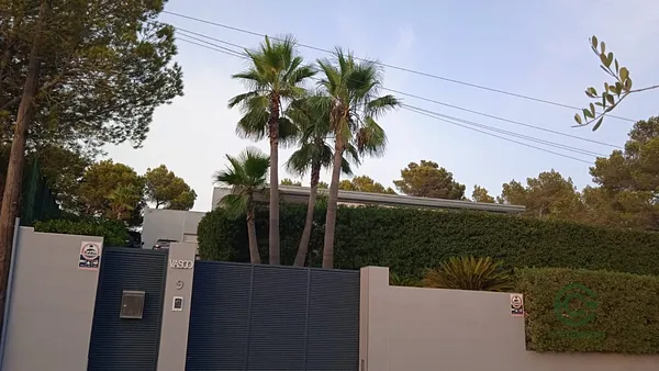 Spot image