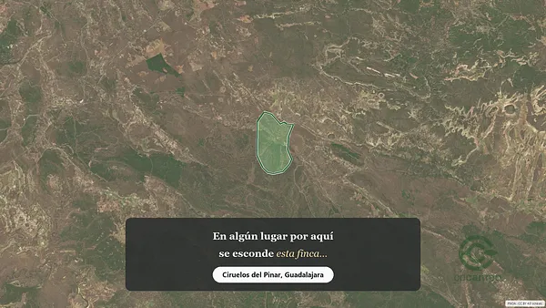 Spot image